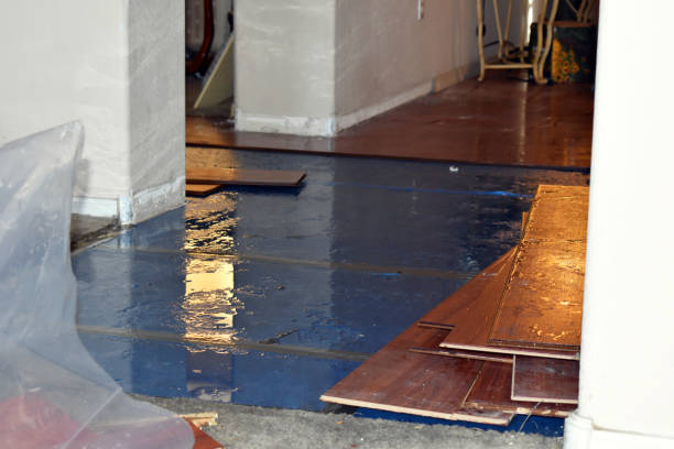 Professional Water Extraction technician working in Edmore, MI